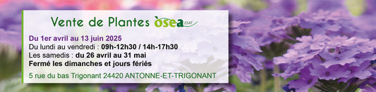 Ouverture des serres d'Antonne